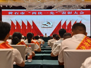 众博（中国）经济与管理学院学生党支部荣...
